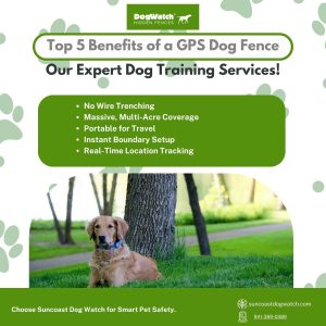 bradenton invisible fencing experts