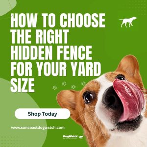 invisible fence for small yards in Longboat Key