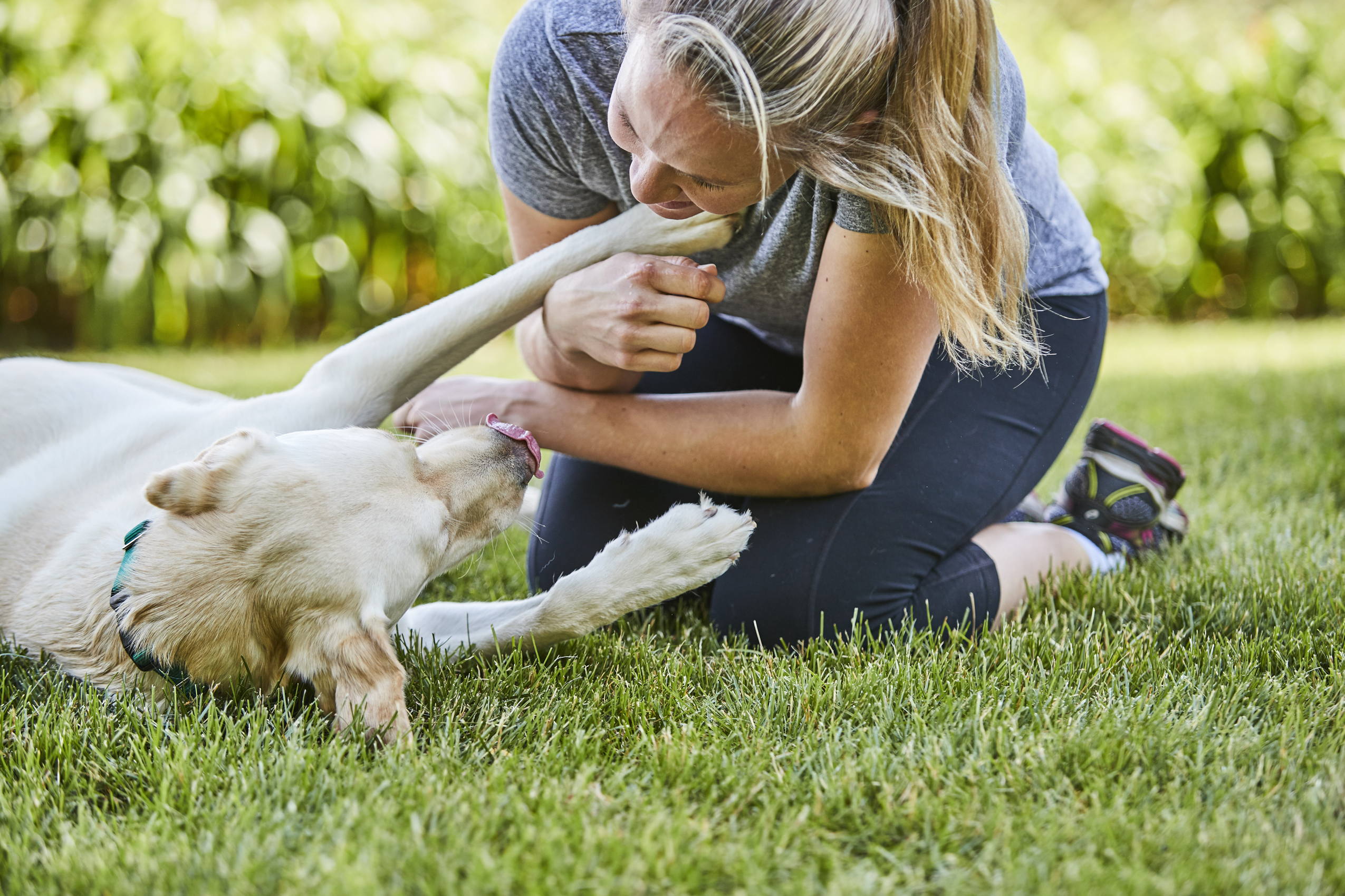 pet-friendly fencing parrish
