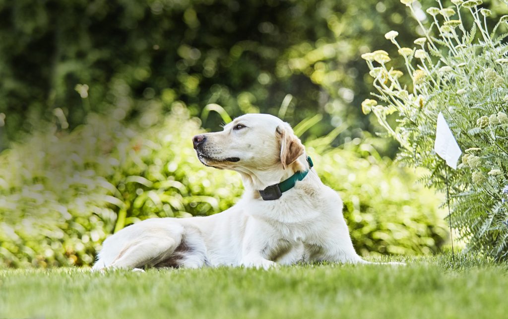 gps fence products in lakewood ranch