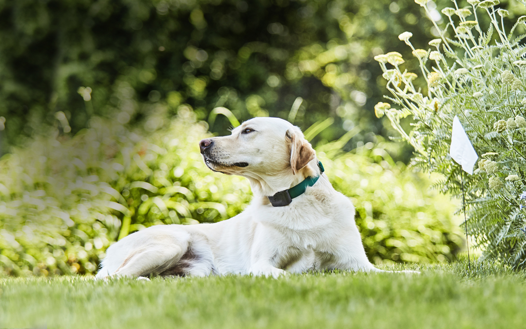 gps fence products in lakewood ranch