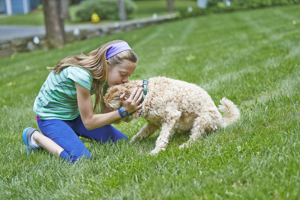 Young girl kneeling in the grass and hugging a Goldendoodle wearing a DogWatch collar receiver in a safely contained backyard