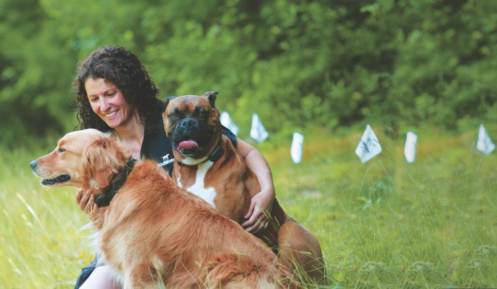 Dog owner trainer in grass with a Golden Retriever and a Boxer, both wearing DogWatch collar receivers, with hidden dog fence training flags visible in the background